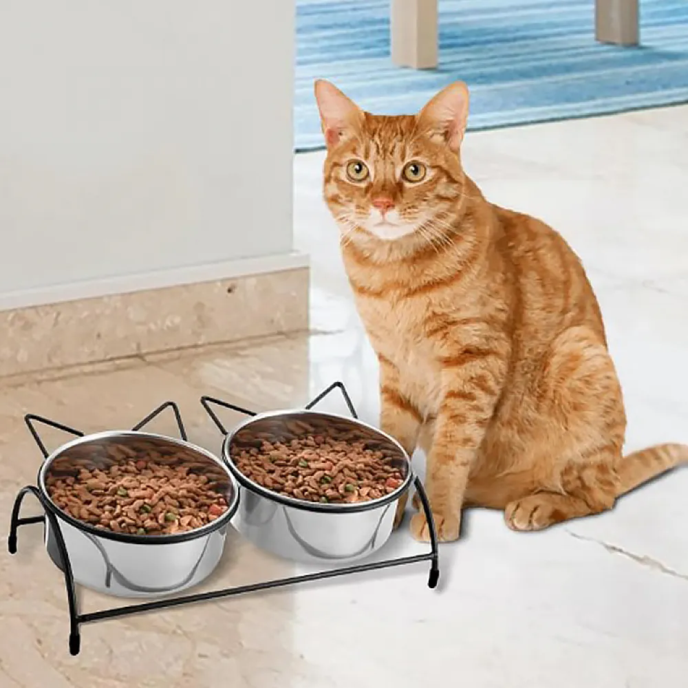 Миска для кошек Taotaopets 196606 cat двойная чаша Black Миска для кошек Taotaopets 196606 cat двойная чаша Black